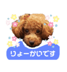 ここたスタンプ色々（個別スタンプ：12）