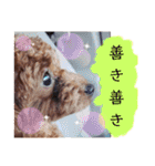 ここたスタンプ色々（個別スタンプ：14）