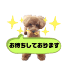 ここたスタンプ色々（個別スタンプ：17）