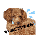 ここたスタンプ色々（個別スタンプ：24）