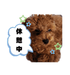 ここたスタンプ色々（個別スタンプ：26）