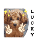ここたスタンプ色々（個別スタンプ：27）