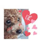 ここたスタンプ色々（個別スタンプ：30）