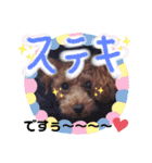 ここたスタンプ色々（個別スタンプ：31）
