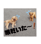 ここたスタンプ色々（個別スタンプ：37）