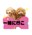 ここたスタンプ色々（個別スタンプ：38）