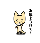 かわいいキタキツネ（個別スタンプ：11）