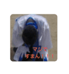 愛川ドドンとなスタンプ（個別スタンプ：7）