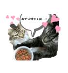 ぽんずとその仲間達（個別スタンプ：6）