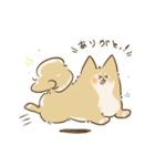 ありがとうを伝える柴犬（個別スタンプ：2）