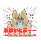 ありがとうを伝える柴犬（個別スタンプ：4）