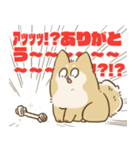 ありがとうを伝える柴犬（個別スタンプ：5）