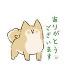 ありがとうを伝える柴犬（個別スタンプ：6）