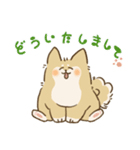 ありがとうを伝える柴犬（個別スタンプ：8）