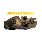 チャット1（個別スタンプ：5）