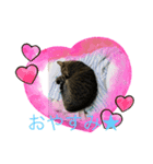 チャット1（個別スタンプ：6）
