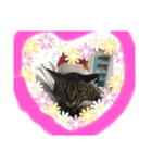 チャット1（個別スタンプ：8）