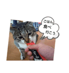 215M（個別スタンプ：6）