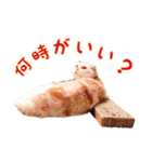 つぶレうサぎ（個別スタンプ：3）