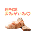 つぶレうサぎ（個別スタンプ：4）