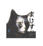 つぶレうサぎ（個別スタンプ：15）