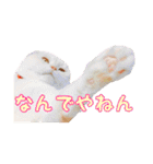 つぶレうサぎ（個別スタンプ：16）