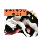 はちわれ日和＊なな3＊（個別スタンプ：4）