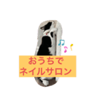 はちわれ日和＊なな3＊（個別スタンプ：7）