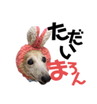 とまとと愉快な仲間たち（個別スタンプ：7）