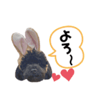 とまとと愉快な仲間たち（個別スタンプ：11）