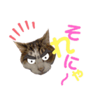 とまとと愉快な仲間たち（個別スタンプ：14）