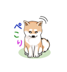 可愛い秋田犬色々（個別スタンプ：2）