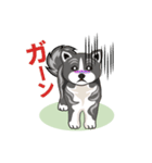 可愛い秋田犬色々（個別スタンプ：19）