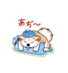 可愛い秋田犬色々（個別スタンプ：34）