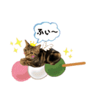 うちの(ネ)コ（個別スタンプ：22）