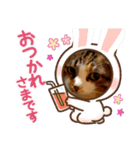 飼い猫－双葉といぶき❮芽吹❯のスタンプ-2（個別スタンプ：7）