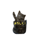 飼い猫－双葉といぶき❮芽吹❯のスタンプ-2（個別スタンプ：11）
