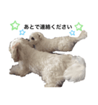 ノアルカすたんぷ（個別スタンプ：5）