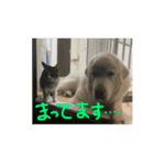 グレートピレニーズのおとのスタンプ（個別スタンプ：3）
