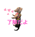 かぴとてて（個別スタンプ：1）