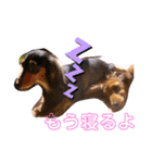 かぴとてて（個別スタンプ：3）