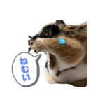 チョコ♡♡（個別スタンプ：5）