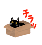 黒猫ピッピのスタンプ（個別スタンプ：5）