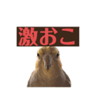 zunずん（個別スタンプ：2）