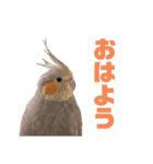 zunずん（個別スタンプ：5）