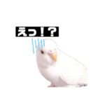 zunずん（個別スタンプ：8）