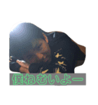けいまな（個別スタンプ：8）