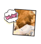 愉快な怜央33（個別スタンプ：1）