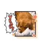 愉快な怜央33（個別スタンプ：2）