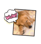 愉快な怜央33（個別スタンプ：3）